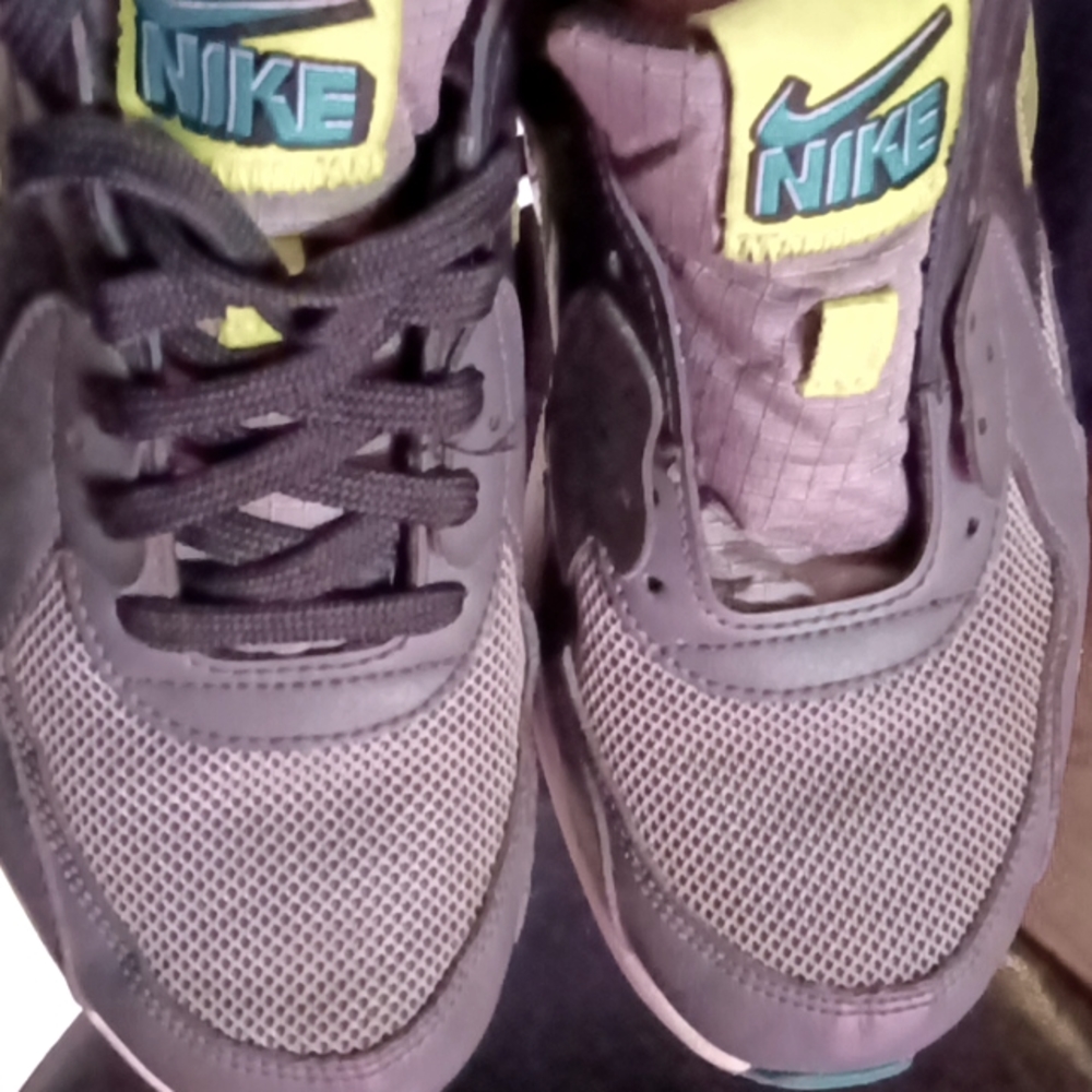 Nike Air Max